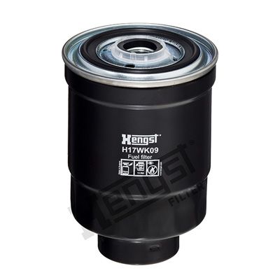 HENGST FILTER kuro filtras H17WK09